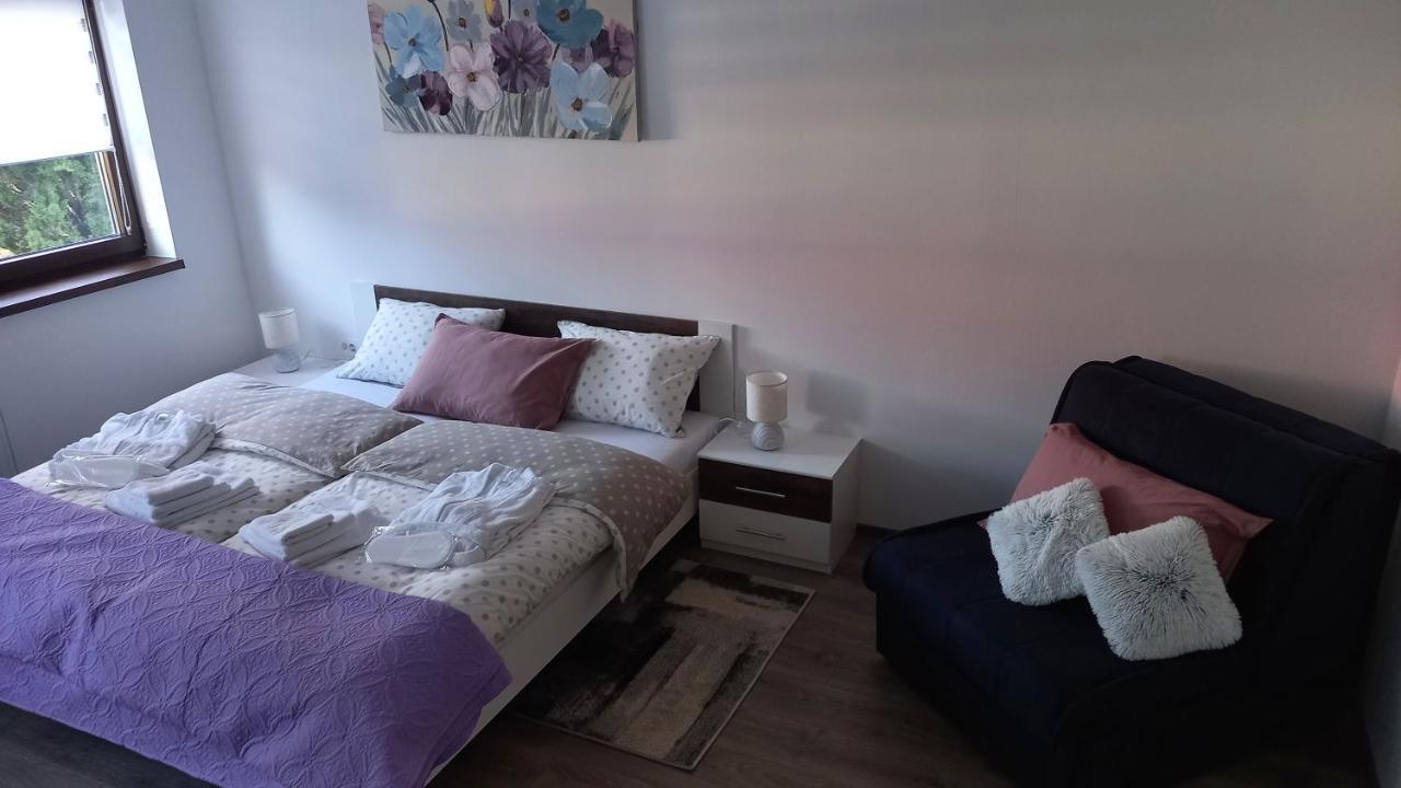 Gogo Apartment Delnice Ngoại thất bức ảnh