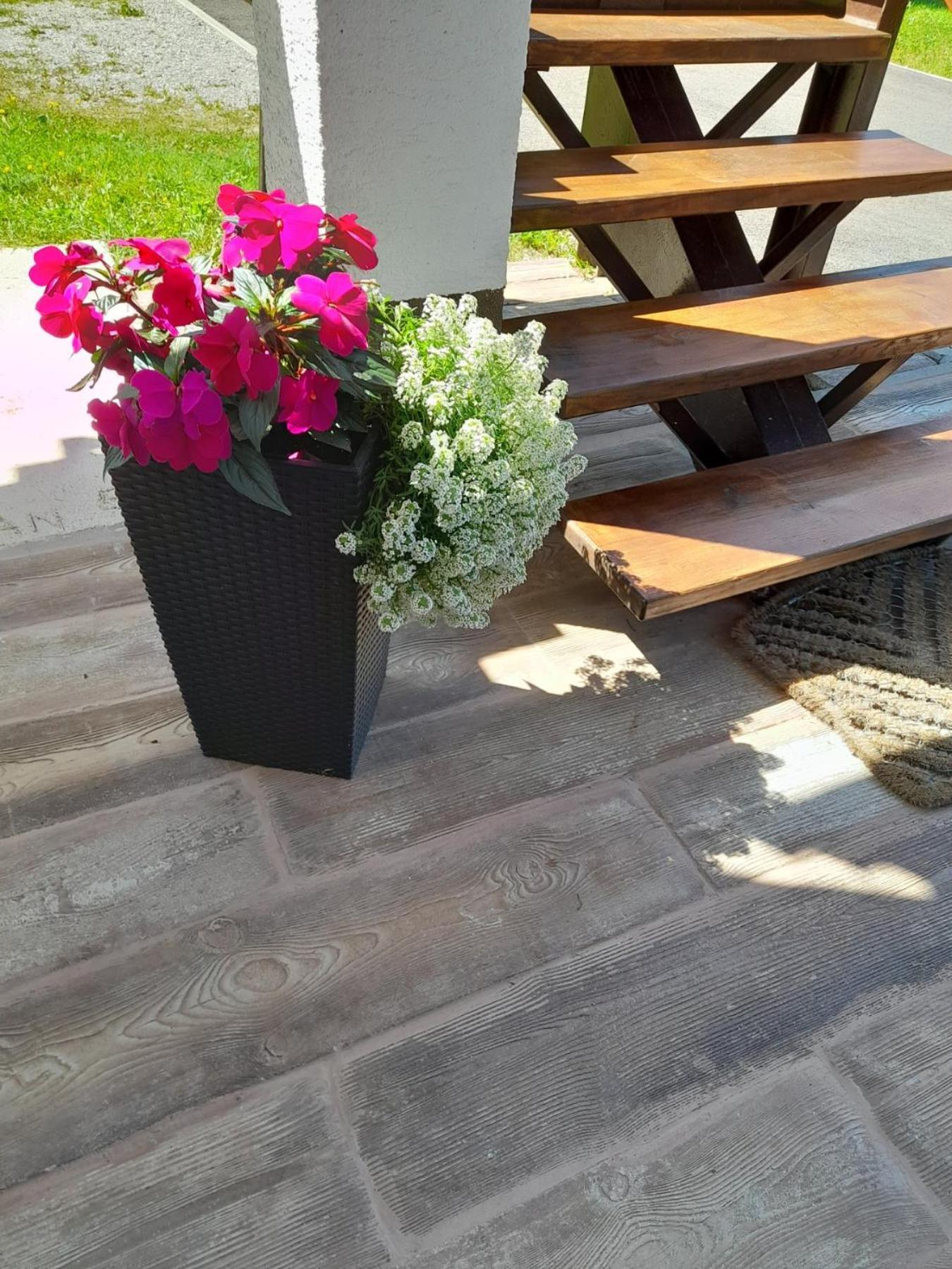 Gogo Apartment Delnice Ngoại thất bức ảnh
